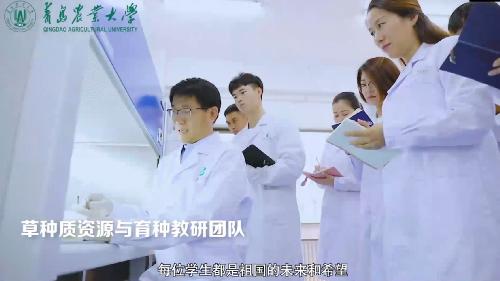 欢迎报考英国伟德